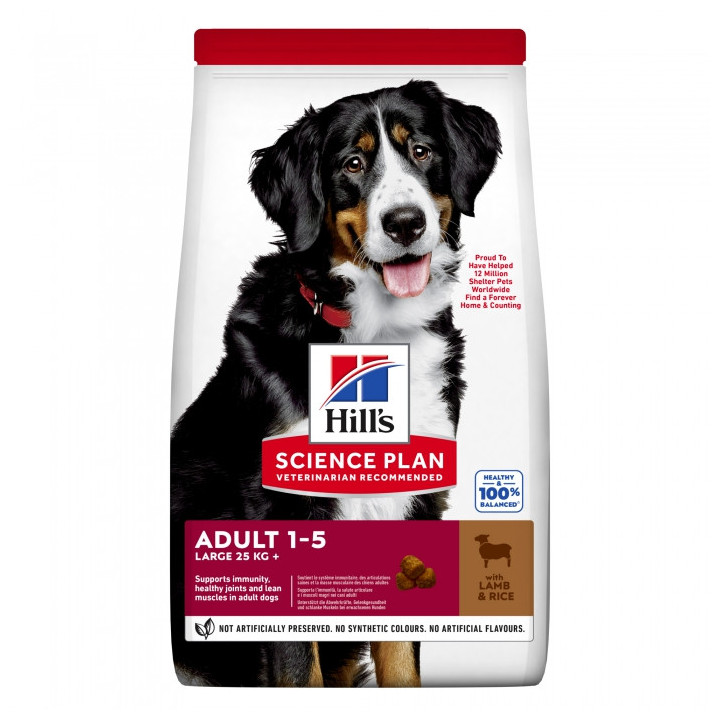 Hill's - Science Plan Canine Adult Large all'Agnello e Riso da 14 Kg